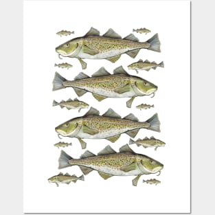 Cod fish Posters and Art